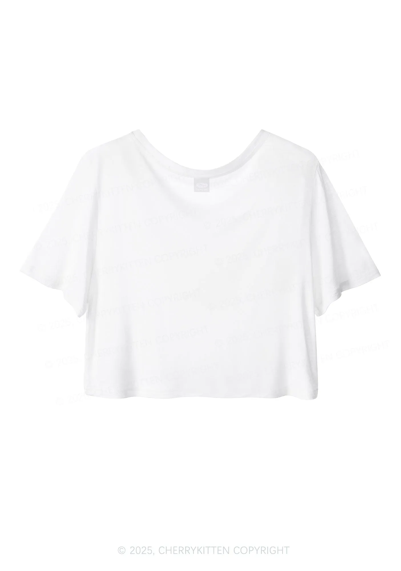 Bisexuals Kick Axx Pride Y2K Sheer Crop Tee Cherrykitten