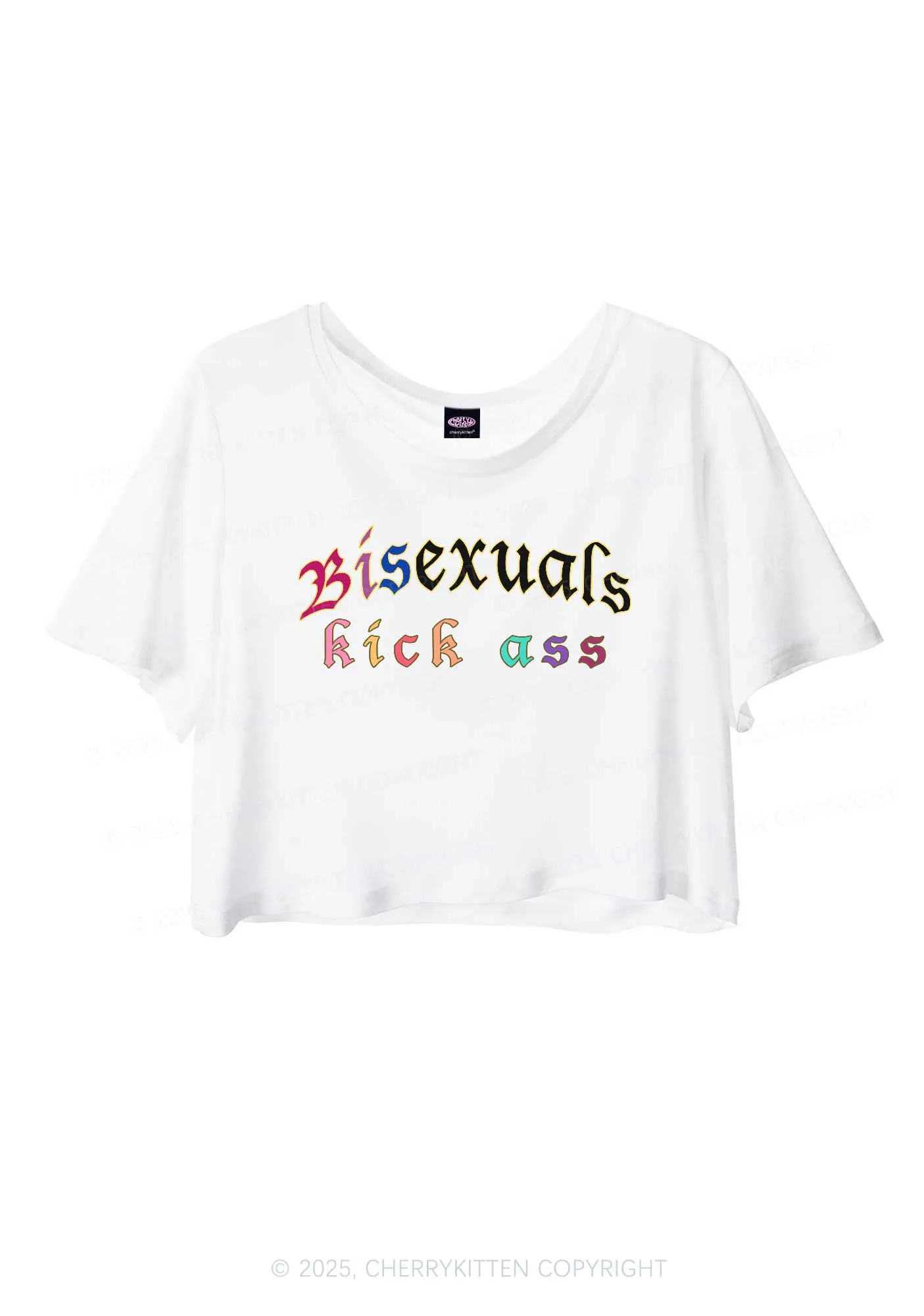 Bisexuals Kick Axx Pride Y2K Sheer Crop Tee Cherrykitten